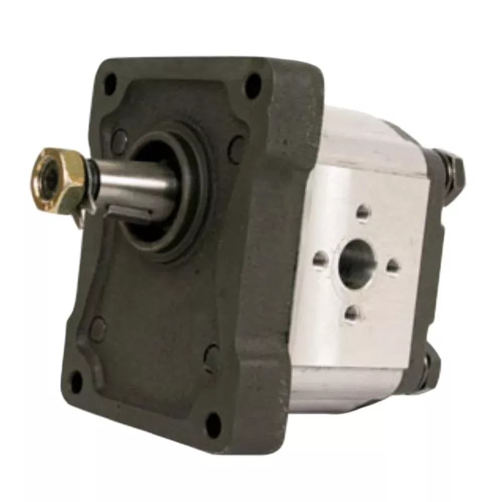 1825212M91 Hydraulic Pump Fits Fiat Tractors 45-66 45-66DT 580 580DT 640 640DT