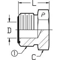 3/4 MALE OFS - PLUG - STEEL