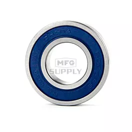 6004-2RS Bearing