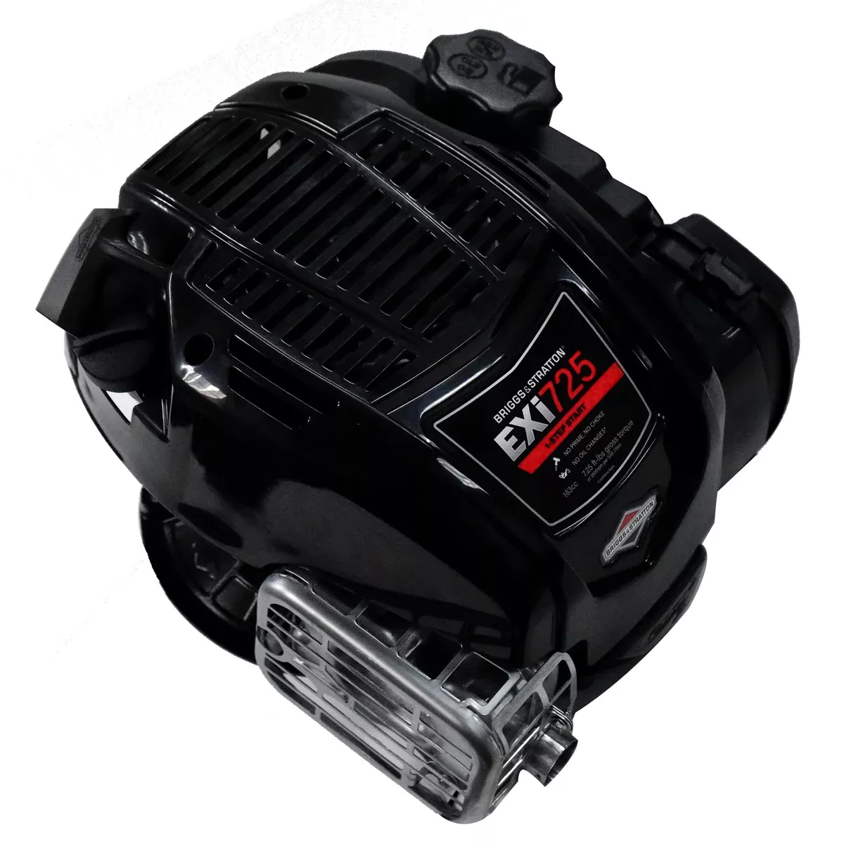 Briggs & Stratton 104M02-0196-F1 7.25 Engine