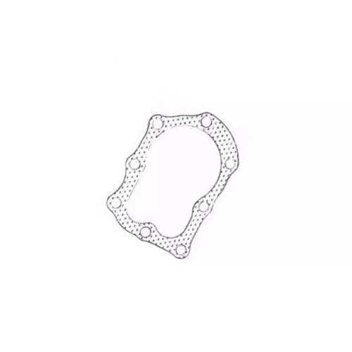 GASKET HEAD METAL BRIGGS AND STRATTON (BRIGGS & STRATTON) 1482