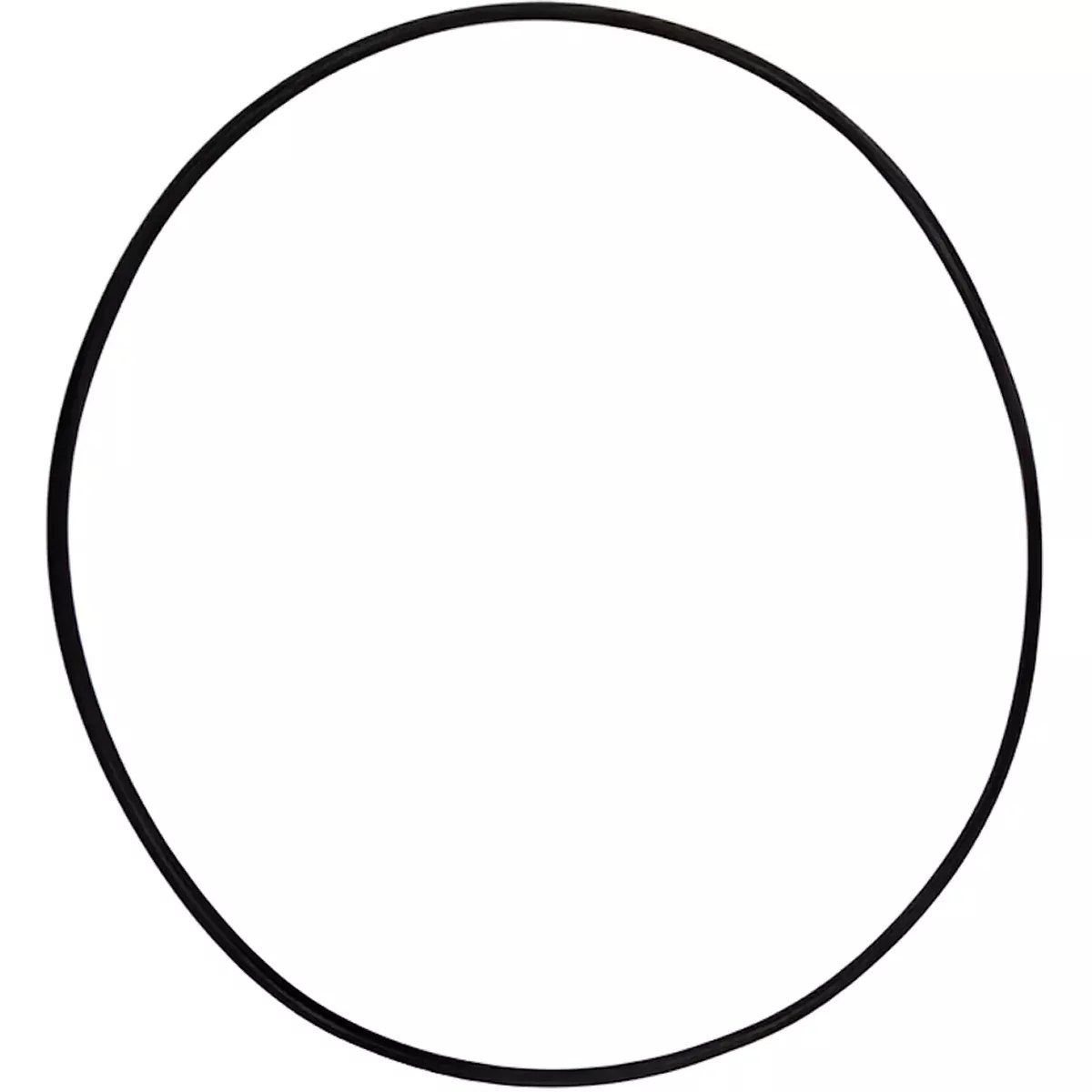 Hypro 1720-0083 Buna O-Ring for Cast Iron Centrifugal Pump