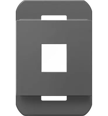 Pass & Seymour AC1PFM1 1-Port Frame - Magnesium