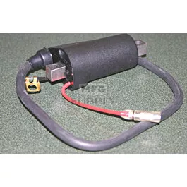 Polaris Fuji External Ignition Coil