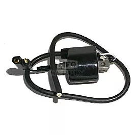 Rotax Ignition Coil