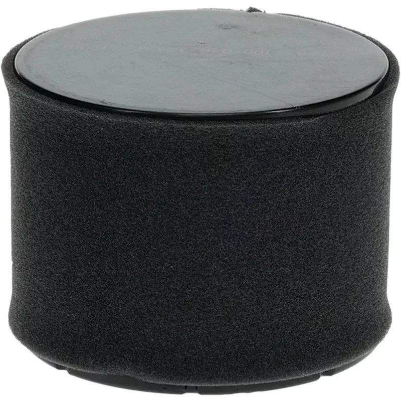 Stens 100-018 Air Filter Combo