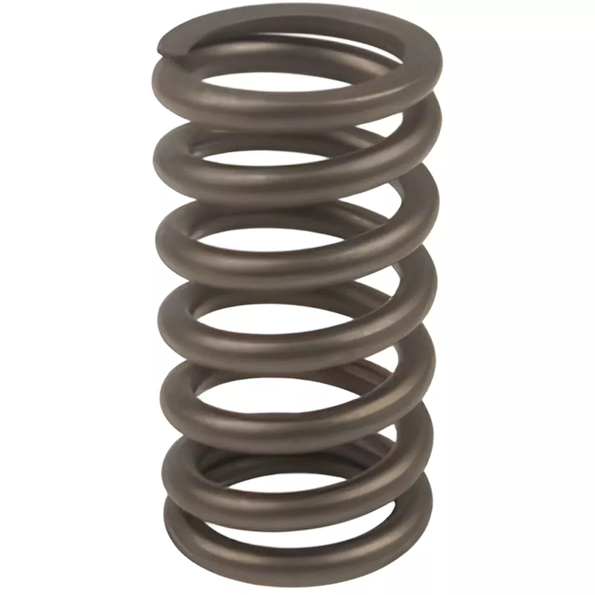 VALVE SPRING