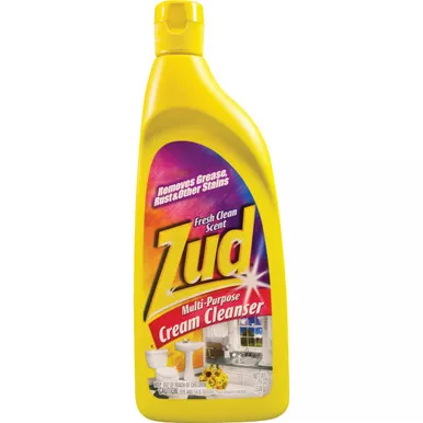 Zud 19 Oz. Rust Remover Cream Cleanser 530019 606537